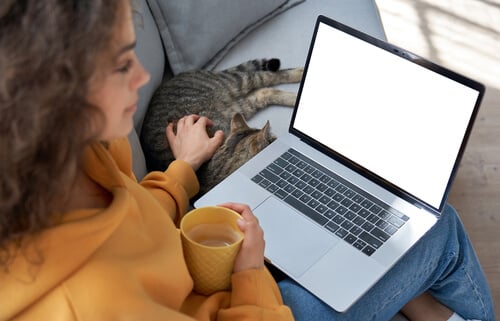 Woman switching energy supplier on laptop