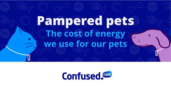 A cat and dog icon alongside text saying Pampered Pets - The cost of energy we use for our pets