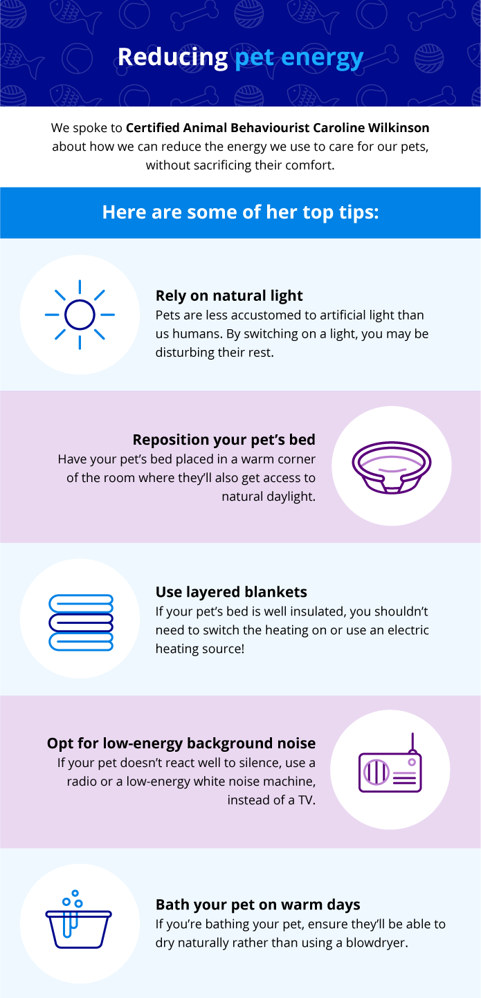 Image showing ways pet owners can reduce their energy use