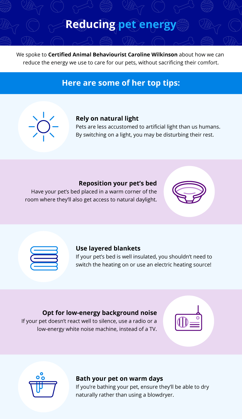 Image showing ways pet owners can reduce their energy use