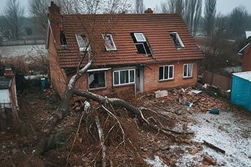 a house damaged by a fallen tree