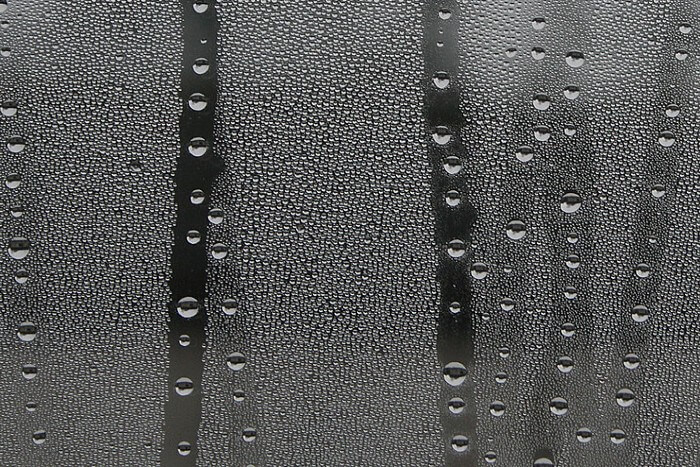 condensation on a window