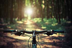 bicycle insurance cost