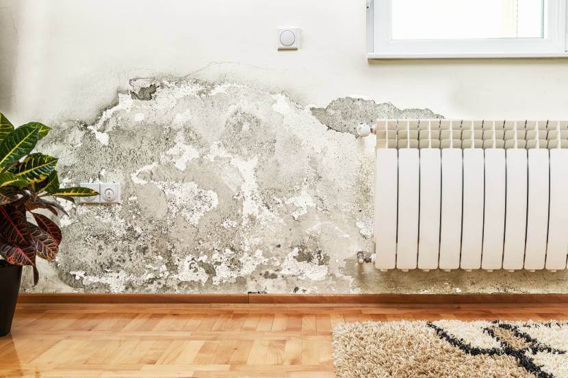 how to spot signs of damp in your home - confused