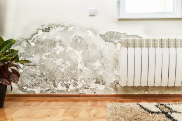 Signs of damp in a home