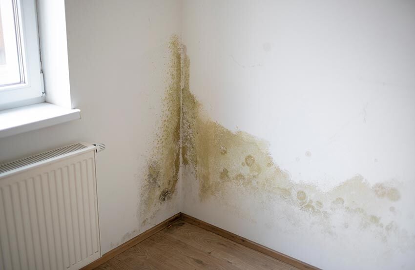 Damp and mould in the corner of a room