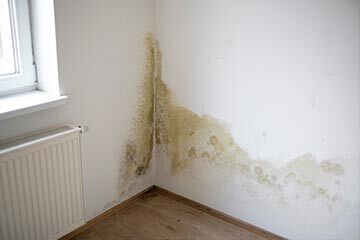 Damp and mould in the corner of a room