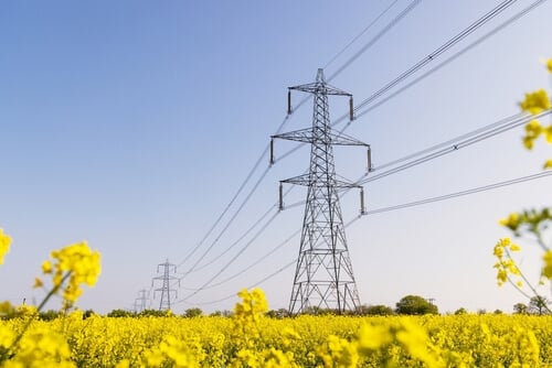 Electricity pylons in field