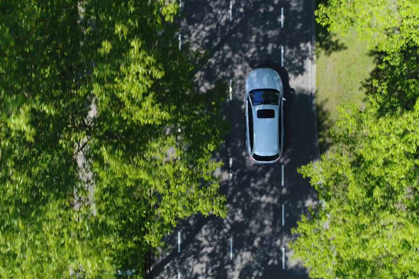 car driving through trees