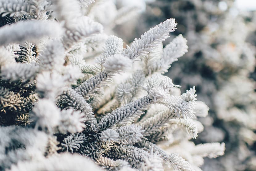 A close up of a white Christmas tree