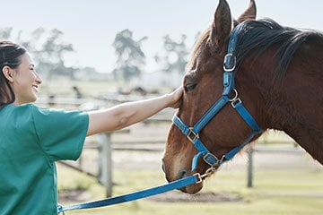 A vet petting a horse