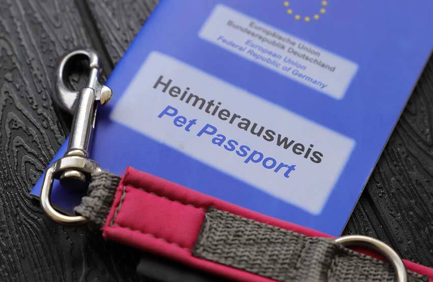 A blue European pet passport with a red dog lead