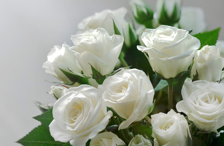 Funeral flowers 