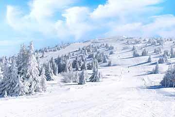 A snowy ski resort