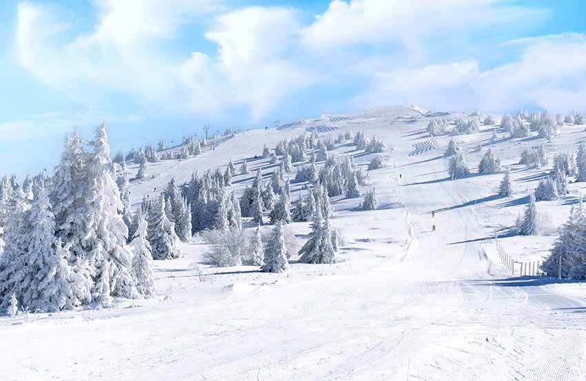A snowy ski resort