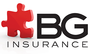 bg-van insurance logo