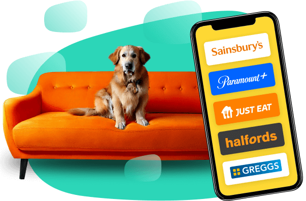 Dog sitting on orange settee next to phone showing confused.com rewards
