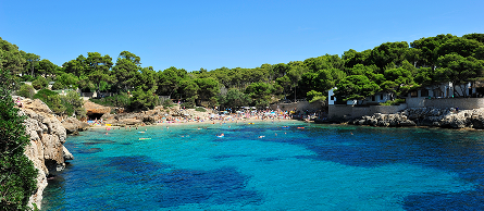 Image of a beach with beautiful blue water