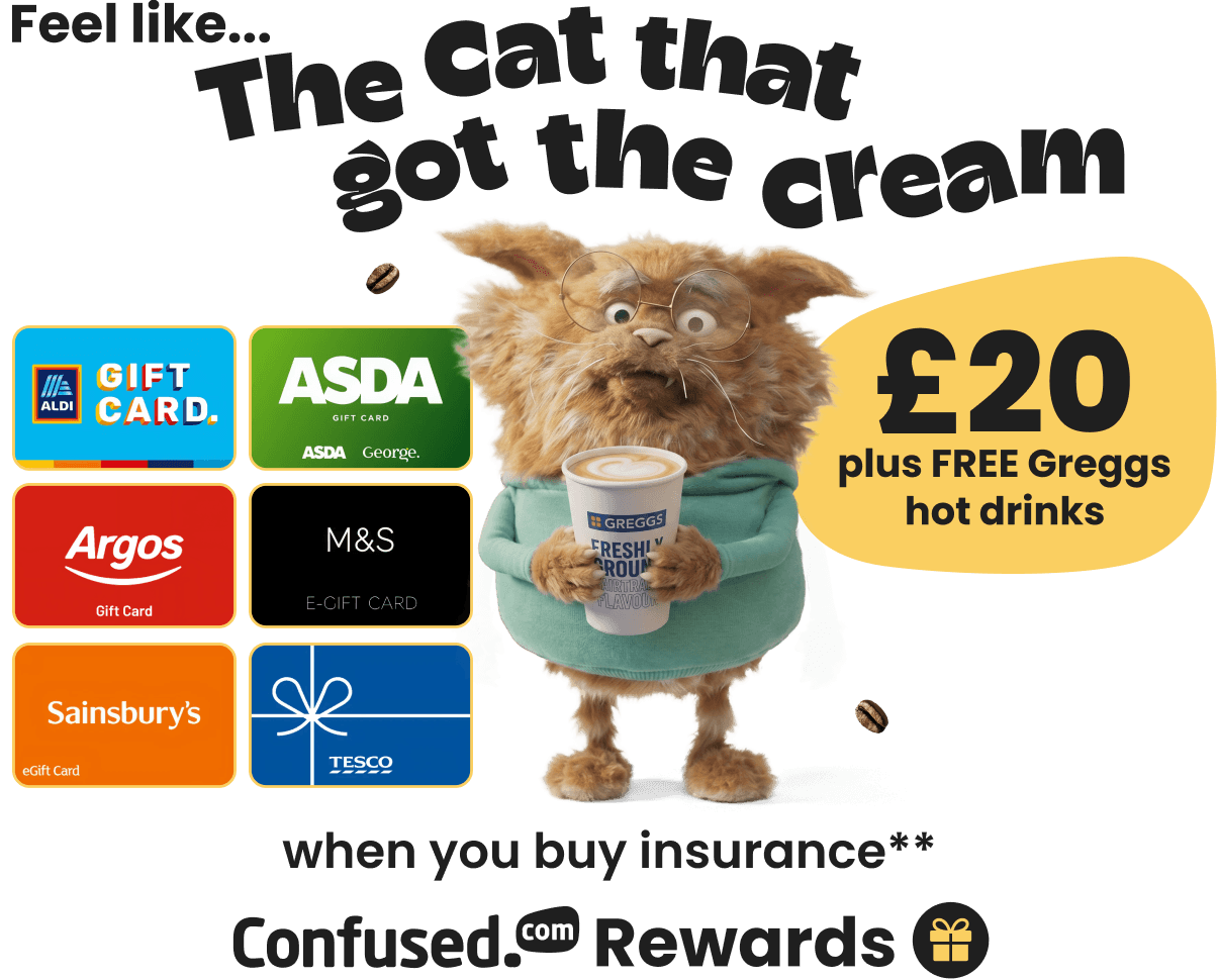 Confused.com Rewards: "Feel like the cat that got the cream." A fluffy ginger cat in glasses and a green hoodie cradles a Greggs coffee, beside gift cards for Aldi, Asda, Argos, M&S, Sainsbury's and Tesco. Get £20 plus free Greggs hot drinks when you buy insurance.