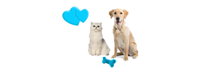 Pet name generator