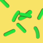 Cutibacterium acnes